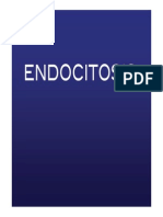 Endocitosis