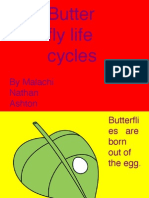 Butterfly Life Cycles