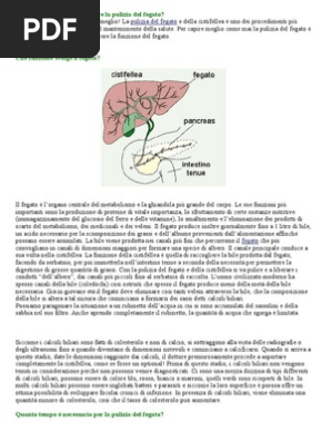 Pulizzia Fegato