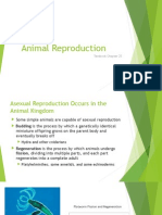 6. Animal Reproduction