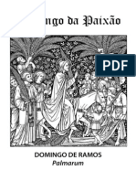 Domingo Da Paixão - Procissão de Ramos