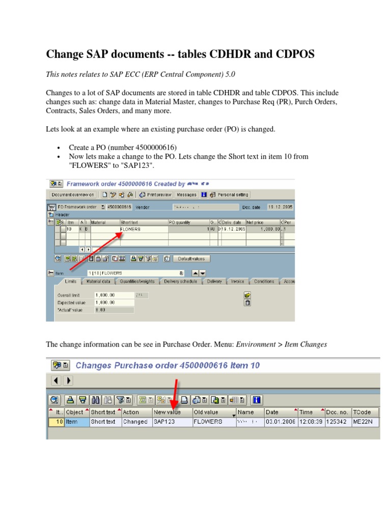 SAP CDHDR and CDPOS Change Tracking | PDF