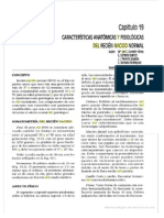 Características Anatómicas y Fisiológicas Del R.N. Normal