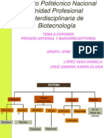 Presentación Barorreceptores