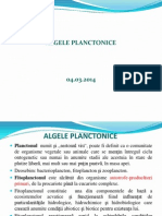 Algele Planctonice