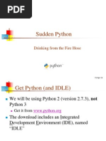 Sudden Python: Drinking From The Fire Hose