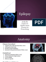 Epilepsy Presentation