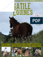 Versatile Equines Magazine: Issue 4 - Apr 2014