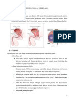 Benign Prostate Hypertrophy