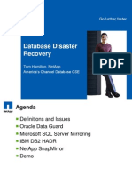 Database Disaster Recovery