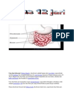 Usus Dua Belas Jari