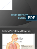 Anatomi Sistem Pernafasan