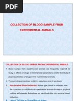 Collection of Blood Sample From Experimental Animals