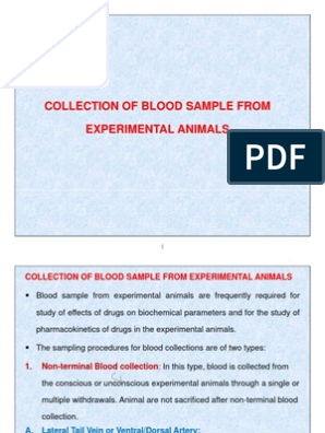 Collection of Blood Sample From Experimental Animals | PDF | Vein |  Anesthesia