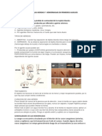 Manejo de Las Hemorragias en Primeros Auxilios