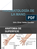 Anatomía de superficie de la mano y movimientos articulares