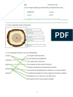 Tema 5 La Madera Resuelto