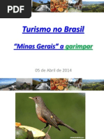Turismo