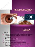 Histologi Kornea, Dewi