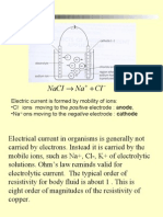 Unit 8 Presentation