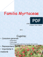 myrtaceae