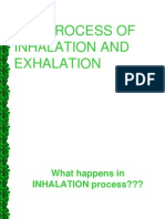 Inhhalation and Exhalation