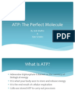 Atp Group Powerpoint