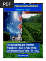 Controle de Plantas Daninhas Em Cafe