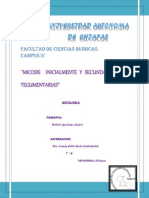 Micosis Inicialmente Tegumentarias Robter