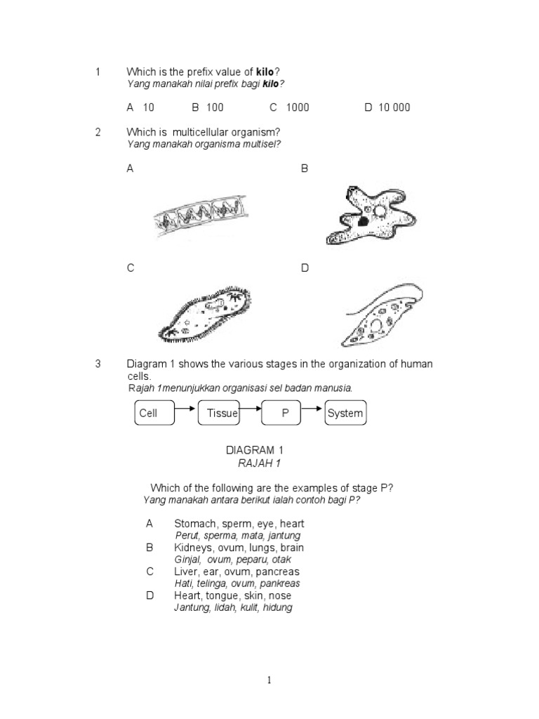 Science Form 2 Paper 1 | PDF