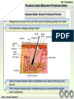 Barisan Pertahanan Pertama