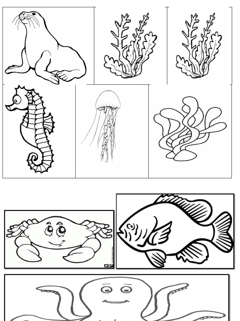 Gambar Hidupan Laut Pdf