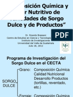 Sorgo Nutricional