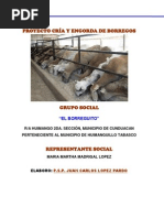 Constancia de Origen y Vecindad y Domiciliaria (1)