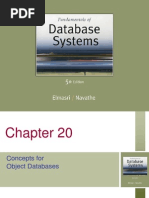 Concepts For Object Databases