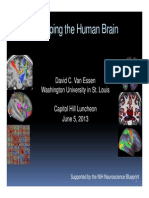 Mapping The Human Brain