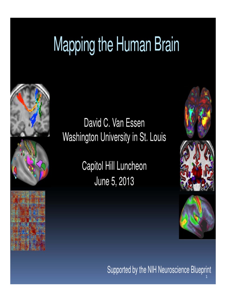 Functional Mapping Of The Human Visual Cortex By Magnetic Resonance ...