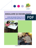 Ghid Dizabilitate Si Angajare