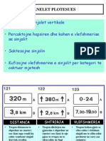 Teoria 06 Panelet Plotesuese
