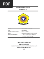Download Laporan Biokim Penetapan Kadar Gula Darah by Hasti Rizky Wahyuni SN218586772 doc pdf