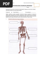 Evaluacion 4TO Cuerpo Humano