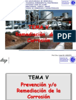 Temav. Remediacion de La Corrosion Scrib