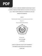 Download BABI by Rock Mad SN218595385 doc pdf