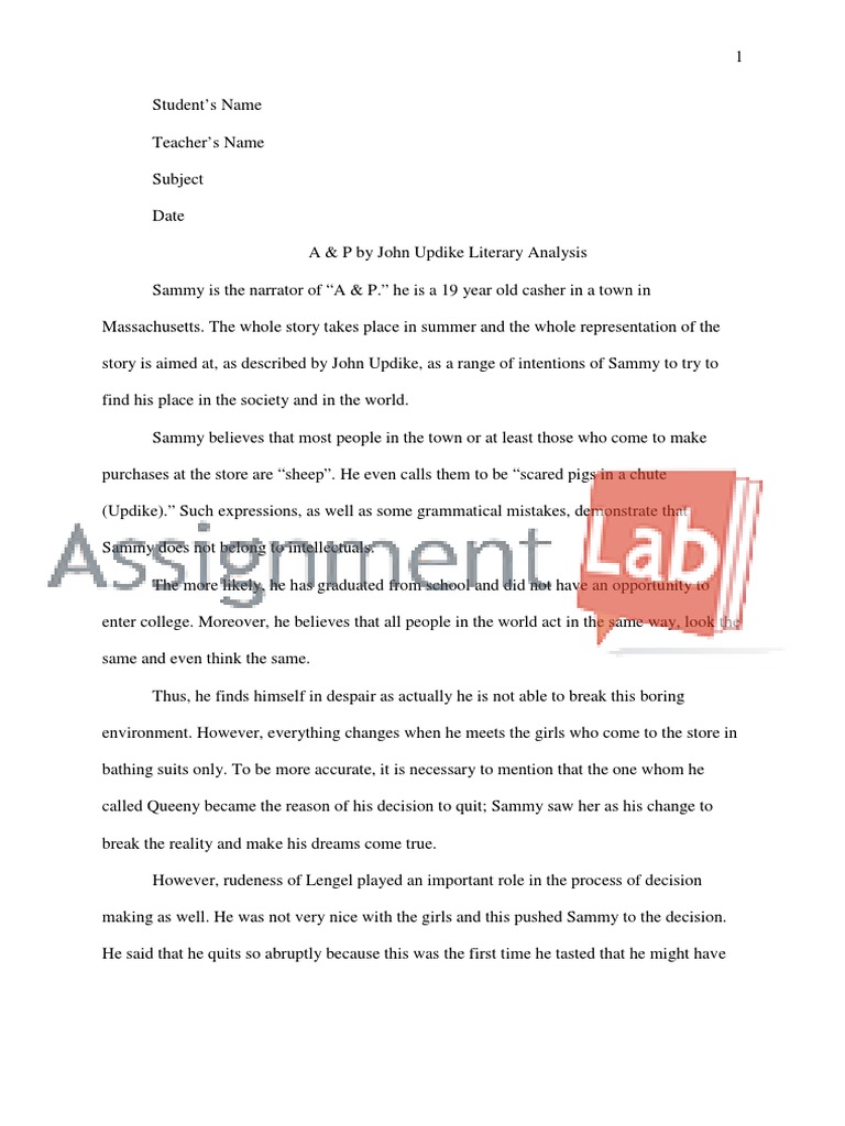 What is a literary analysis essay picture