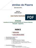 Informe 2011 J.C. Caminatta (AVACAM) - Shale Oil & Gas - Neuquen Argentina