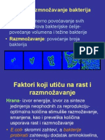 Rast I Razmnozavanje Bakterija