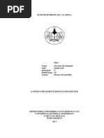 Download elektroforesis by kasriati heruningsih SN218636457 doc pdf