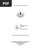 Download Isolasi DNA Bakteri by kasriati heruningsih SN218636809 doc pdf