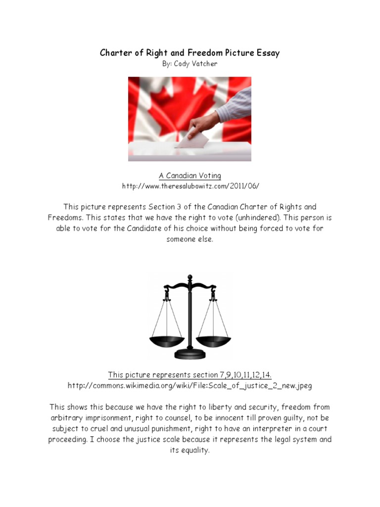 What is freedom charter picture