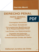 Derecho Penal Tomo i - Garrido